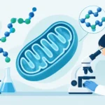 Mitochondrial Peptides Research Study Standards